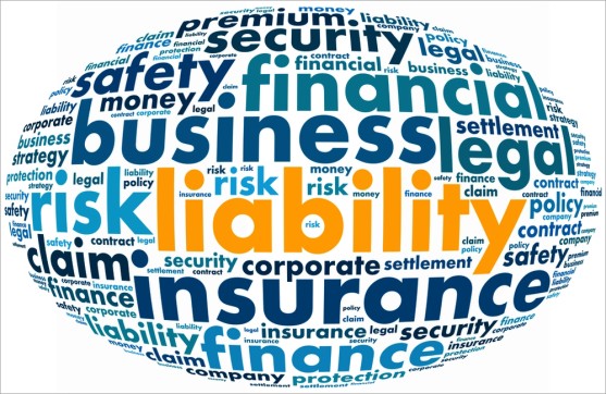 liability_insurance_557x362_1_.546d3e4c89a81