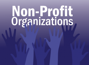 non profits1 1  552d321e446e5