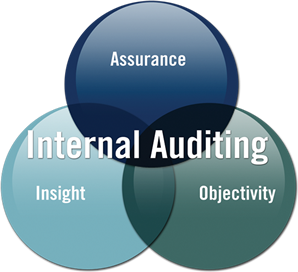 InternalAudit 1  55b7c35678a05