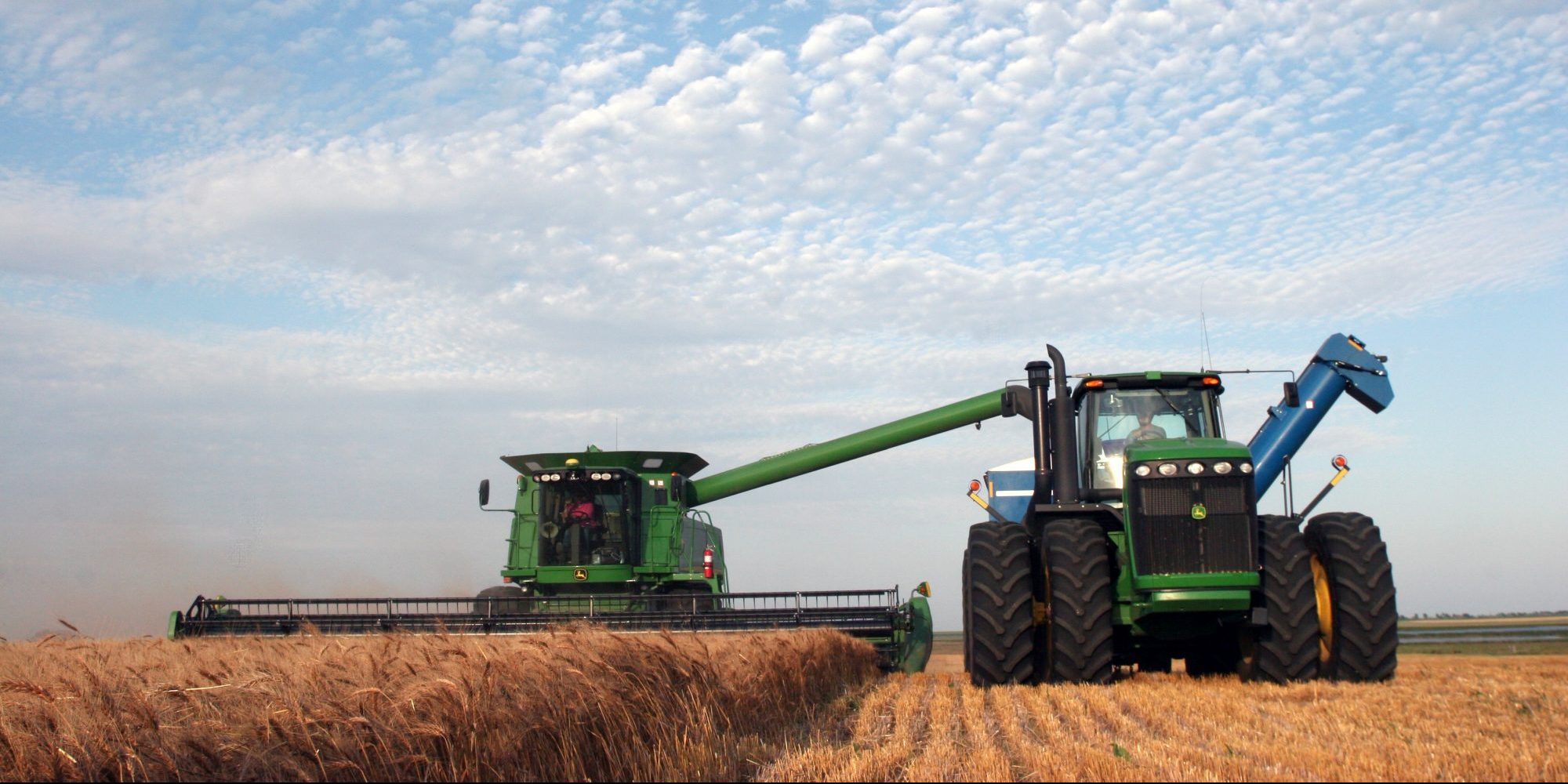 farm grain harvest